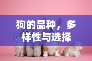 狗的品种多样性及选择指南  第1张