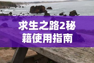 求生之路2，秘籍使用指南  第1张