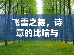 飞雪之舞，诗意的比喻与自然之美共融  第1张