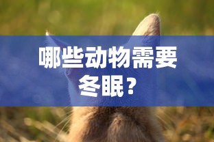 哪些动物需要冬眠？  第1张