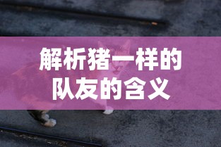 猪一样的队友，解读团队中不力配合者的含义  第1张