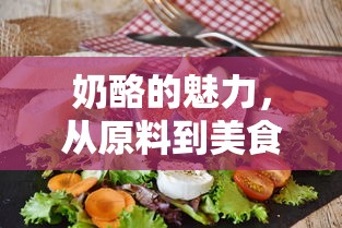 奶酪的魅力，从原料到美食的奇妙之旅  第1张