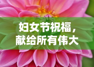 赛600购置税多少  第1张