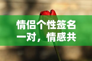 情感共鸣的独特表达，情侣个性签名一对  第1张