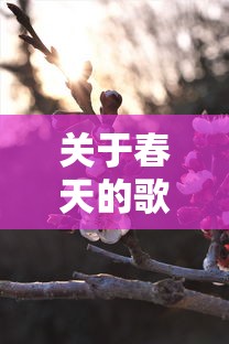 春天的旋律之歌  第1张