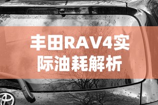 丰田RAV4实际油耗解析  第1张