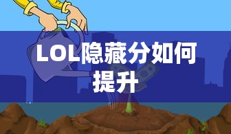 辽宁卫视回看在线观看直播  第1张