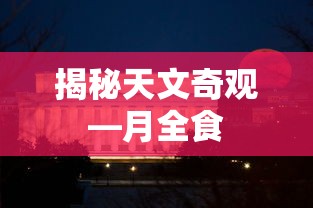 航海王燃烧意志技能加点图  第1张