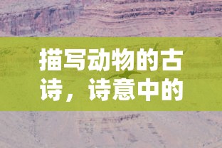 死飞牌子排名  第1张
