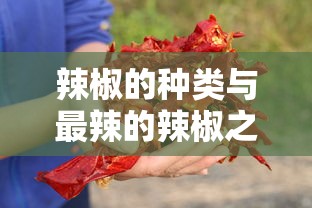 辣椒的种类与最辣辣椒之谜  第1张