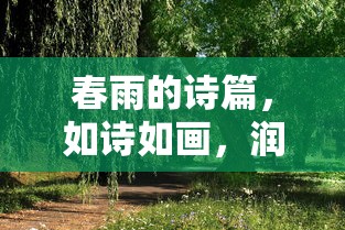 春雨的诗篇，润物无声，如诗如画  第1张