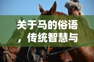 马文化与传统智慧交织的俗语艺术  第1张