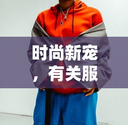 时尚新宠，服装搭配软件  第1张