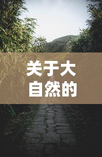 大自然的智慧，谚语中的自然之语启示录  第1张