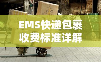热血无赖女npc  第1张