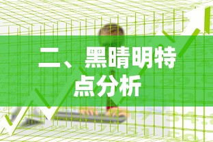黑晴明特点分析  第1张