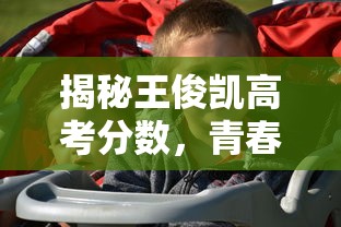 揭秘王俊凯高考分数，青春的奋斗与成就  第1张