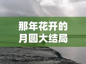 那年花开的月圆大结局，时光流转，情深如初  第1张