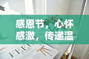 感恩节，心怀感激，传递温暖的力量  第1张