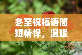 冬至温暖祝福，简短却暖心的话语  第1张