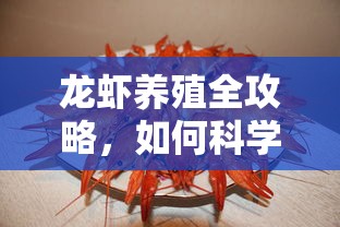 五菱凯捷2021新款价格七座试驾视频  第1张