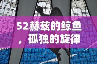 南龙北凤  第1张
