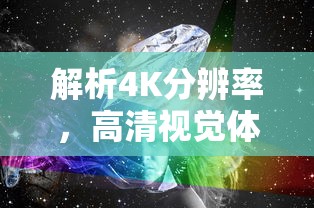 海鸥荣耀版2024价格  第1张