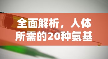 全面解析，人体必需的20种氨基酸的奥秘  第1张