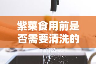 紫菜食用前需不需要清洗的探讨  第1张