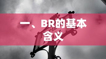 BR的基本含义  第1张