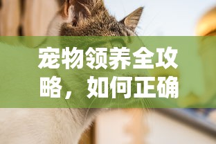 atx770 价格  第1张