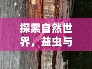自然世界中的奇妙共存，益虫与害虫的探索  第1张