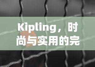 Kipling，时尚与实用的完美融合  第1张