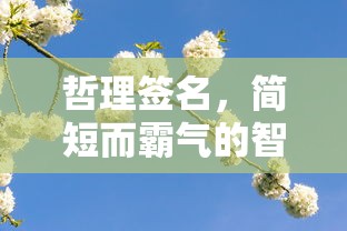 简短霸气哲理签名，智慧之语，启迪心灵  第1张