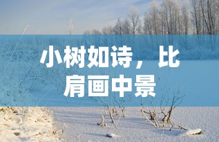 小树如诗，画中景般比肩  第1张
