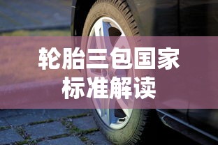 轮胎三包国家标准解读  第1张
