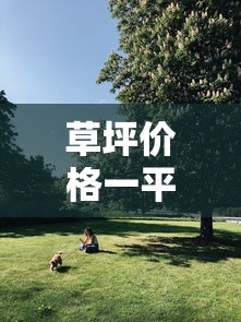 草坪价格一平米揭秘，从成本到市场价值分析  第1张