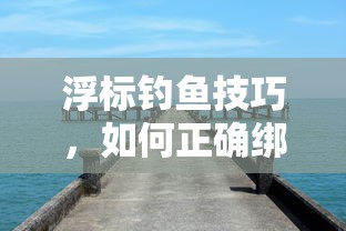 浮标钓鱼技巧，如何正确绑线的方法详解  第1张