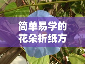 简单易学的花朵折纸方法教程  第1张