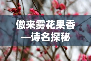 courtney cummz  第1张