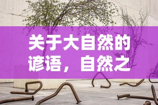 自然之语，智慧之言，大自然的谚语  第1张