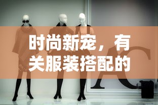 时尚新宠，服装搭配软件  第1张