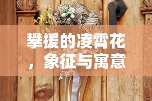 少林大力金刚掌完全版  第1张