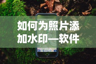 如何为照片添加水印，软件指南  第1张
