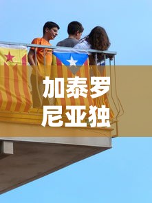 agm电池什么意思  第1张