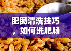 肥肠清洗技巧，如何有效去除肥肠异味  第1张