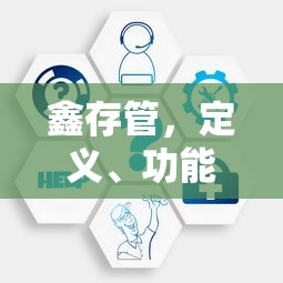 鑫存管，定义、功能与重要性  第1张