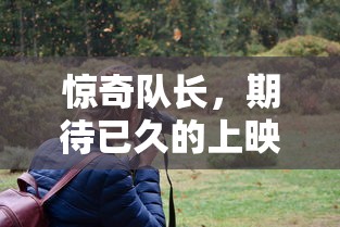 惊奇队长，期待已久的上映时刻揭晓  第1张