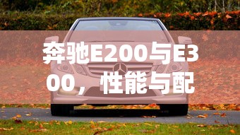 奔驰E200与E300，性能与配置的差异  第1张