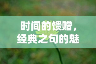 时间的馈赠，经典之句的魅力  第1张